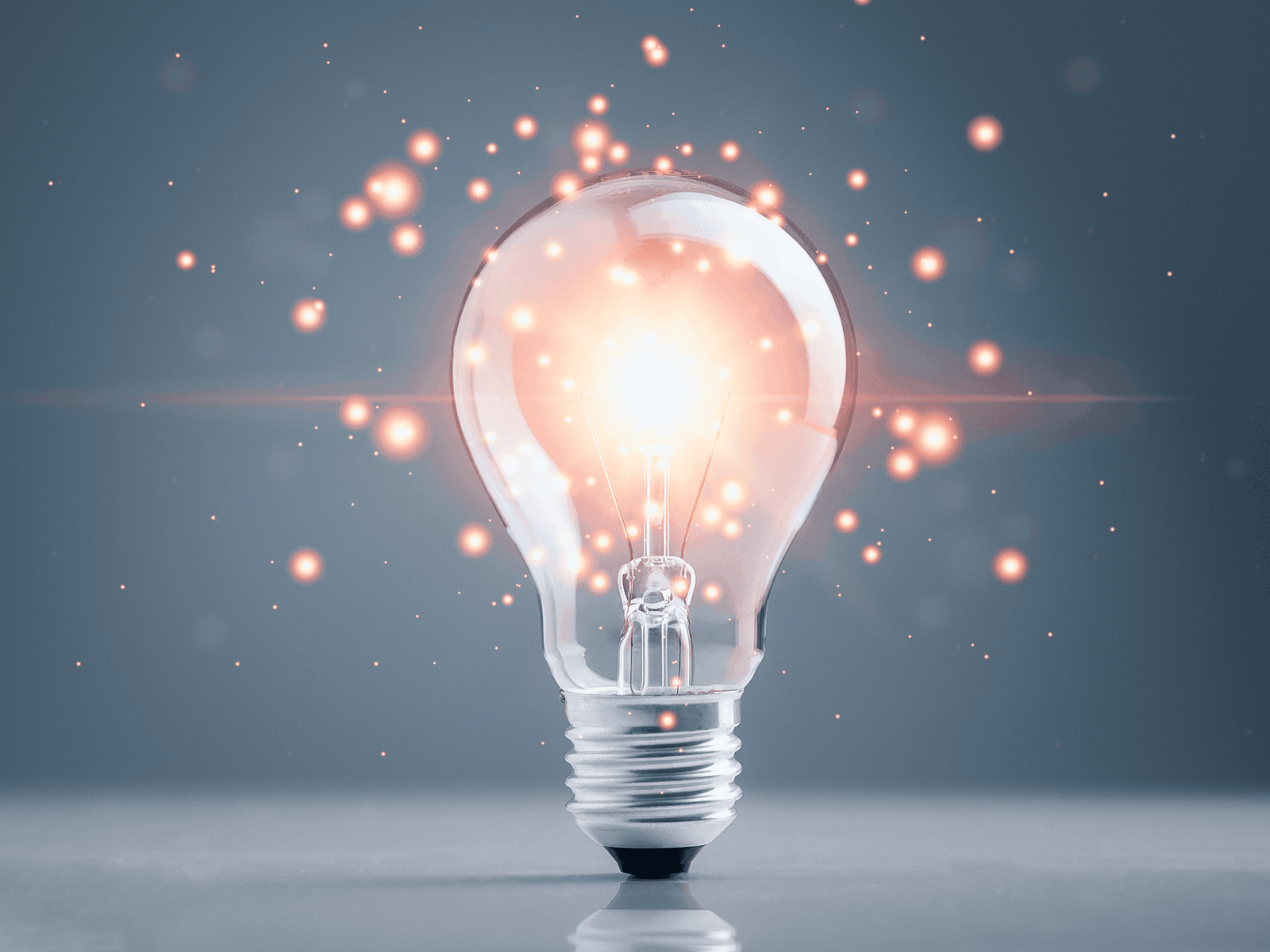News and Insights 2 Looking Back on a Successful and Inspiring 2025